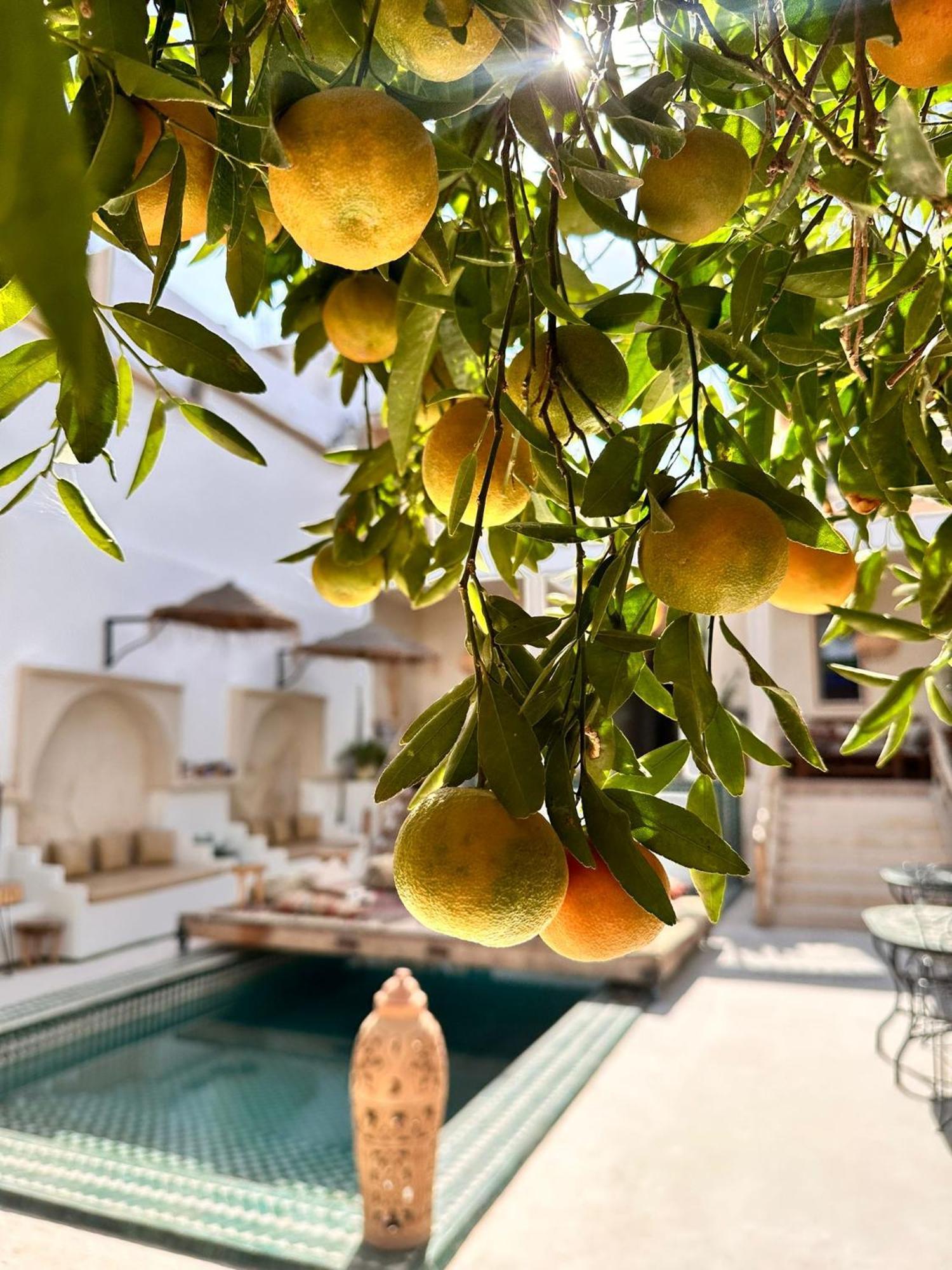 Dar Salam Souss Bed & Breakfast Taroudant Exterior photo